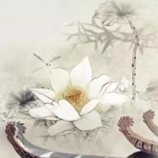 最新家庭伦理电影,重塑现代家庭价值典范