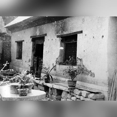 郑州石佛公社最新消息速递