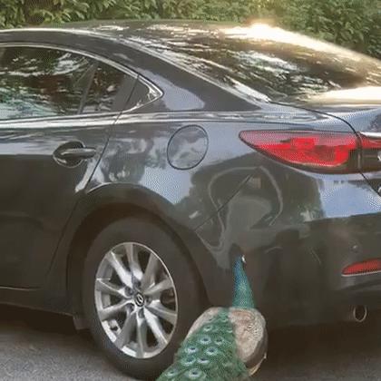 两童冲突背后的数据、原因与解决策略分析视频