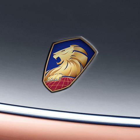 雄狮联盟未来展望，2025视频揭秘策略布局与雄心壮志