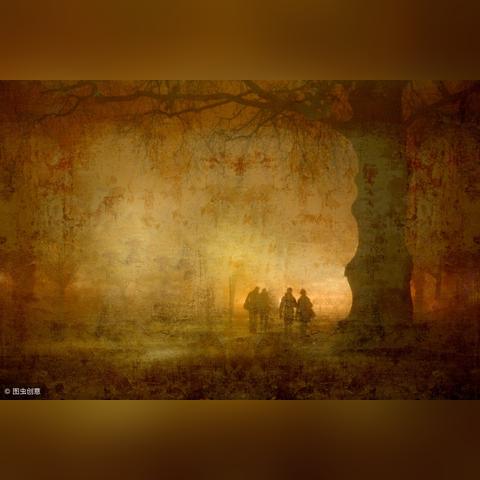 雄狮联盟未来展望,2025视频揭秘策略布局与雄心壮志