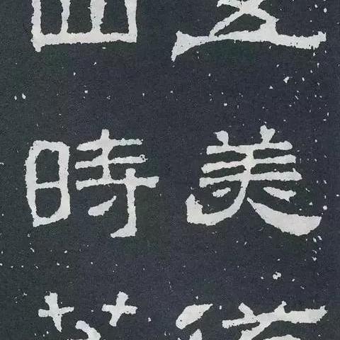 宁联公司最新动态深度解读