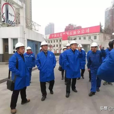 晋城兰花集团现状分析概况