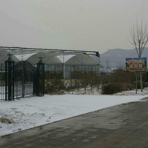 淄博建陶厂最新进展报道