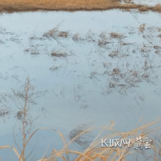 唐河星都会最新动态更新来袭！