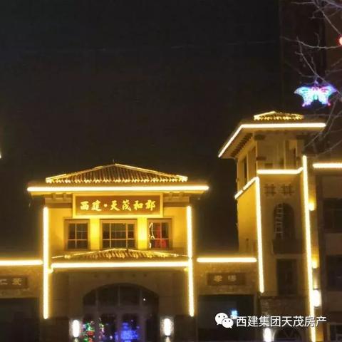 城市绿化新亮点，夜间景观亮化完美融合