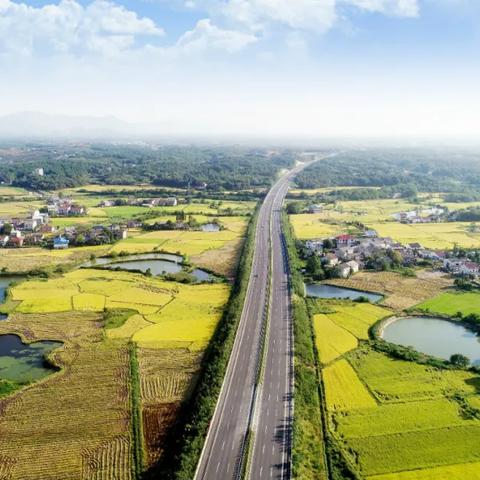 长岳高速最新进展消息