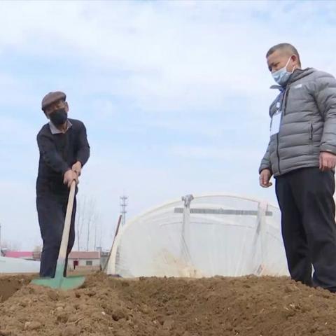 山东泗水西瓜价格走势与市场分析