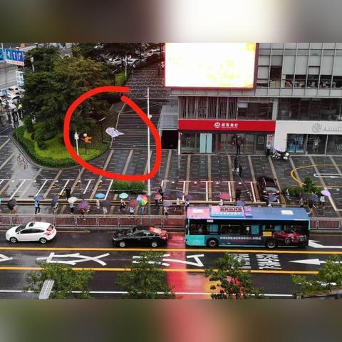 深圳坠楼事件最新进展报告