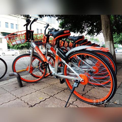 资阳家乐福招聘启事，最新职位空缺