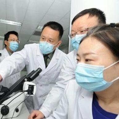 大路新区招工信息最新详解