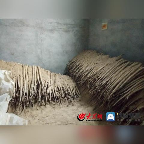 菏泽山药2025年最新价格行情