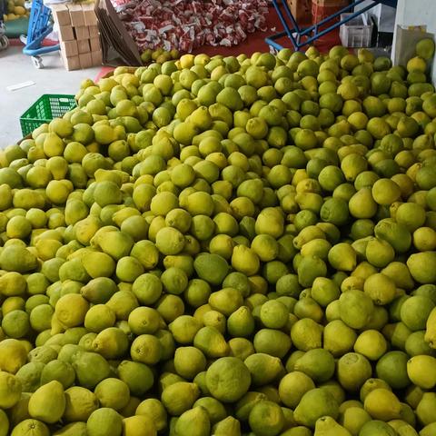 梅州客都大桥施工进展顺利，完工时间提前预计