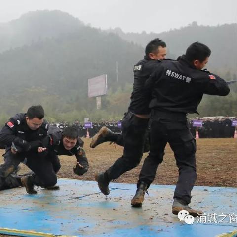 浦城最新招工信息全面解析