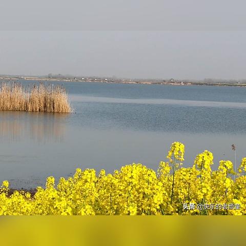 寿县开荒乡新貌，蜕变中的乡村纪实