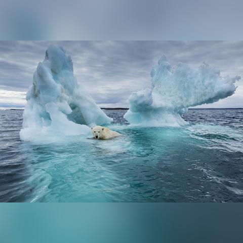 高温死亡事故最新分析报告解读