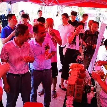 桂平社坡最新规划蓝图揭晓