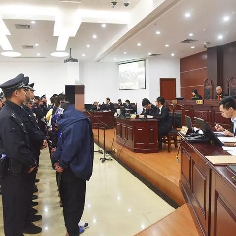 平潭财哥最新发展报告概览