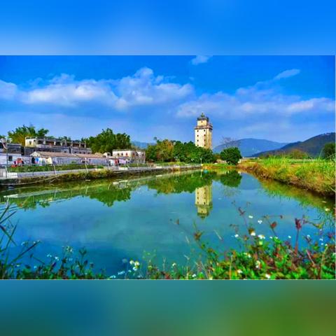 台山四九最新招聘信息全面解析