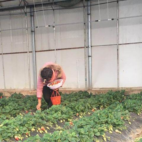 泗水女工最新招工信息全面解析