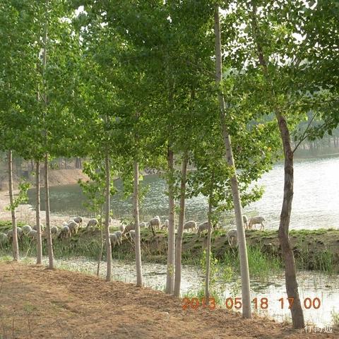 平山温塘未来发展规划展望