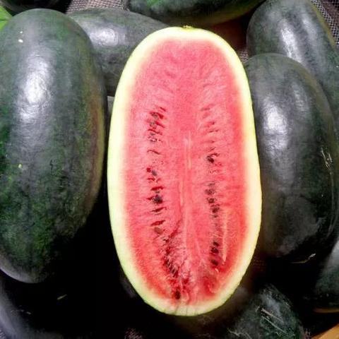 宜城西瓜行情与市场分析，最新价格揭秘