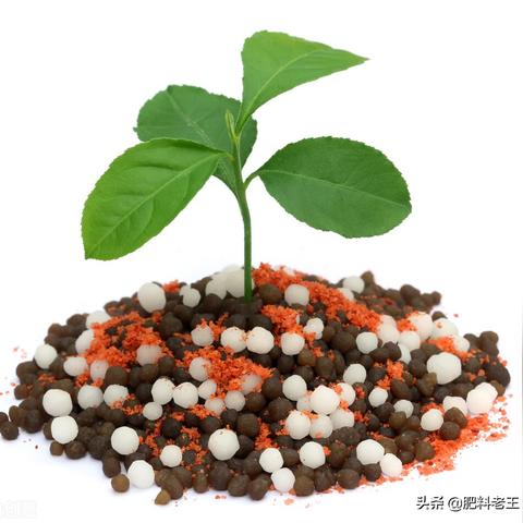 晋开尿素最新价格走势分析