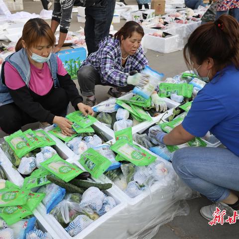 甘肃大蒜价格行情最新分析