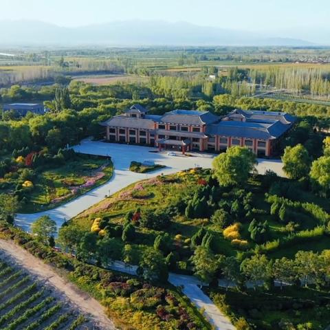 宁夏农垦集团最新公告发布