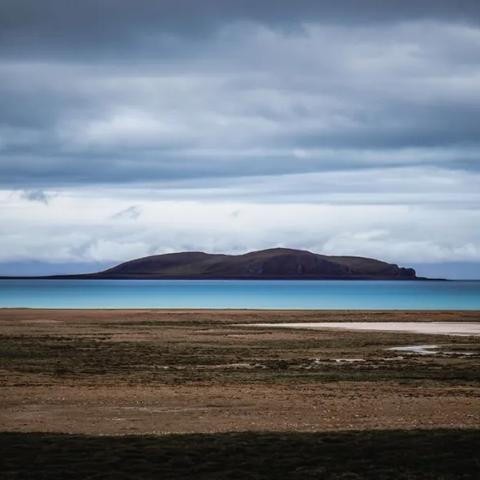 天门张家大湖规划新动态