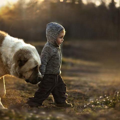 今日貂皮拍卖行情深度解析