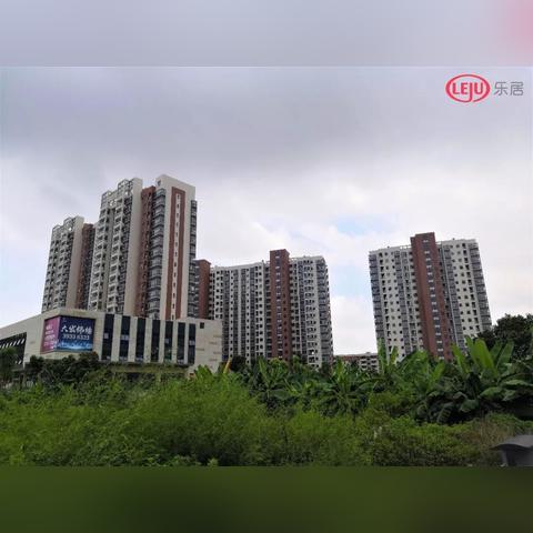 广州南沙房价走势分析最新报告