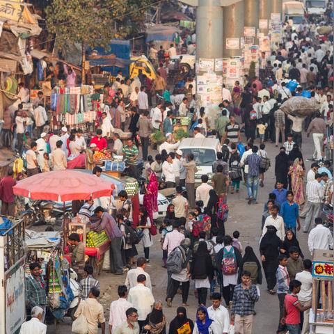 印度孜然最新价格走势分析