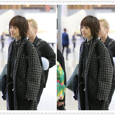 鲁豫最新新闻动态报道