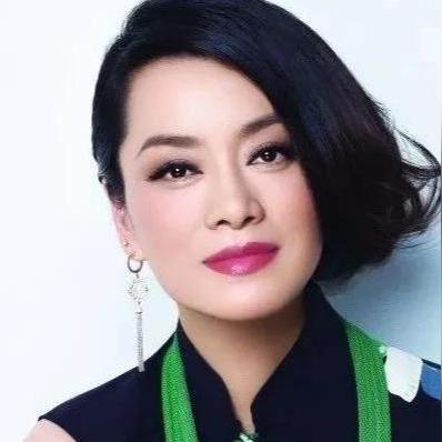 鲁豫最新新闻动态报道