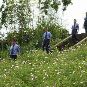 重庆木洞未来规划展望