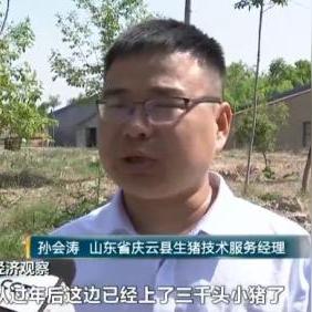 山东庆云楼房最新报价及市场动态分析