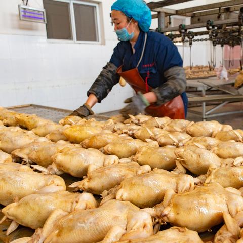 滑县道口女工招聘最新信息