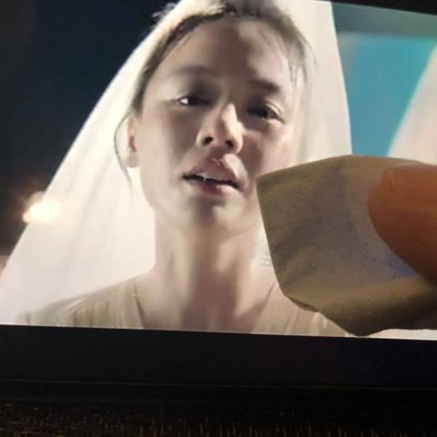 王菲最新视频深度解析，观看数据与用户反馈热议