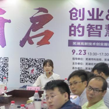 网易云VIP共享盛宴，数字时代的音乐特权体验