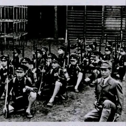 最新岛国步兵发展趋势及其影响