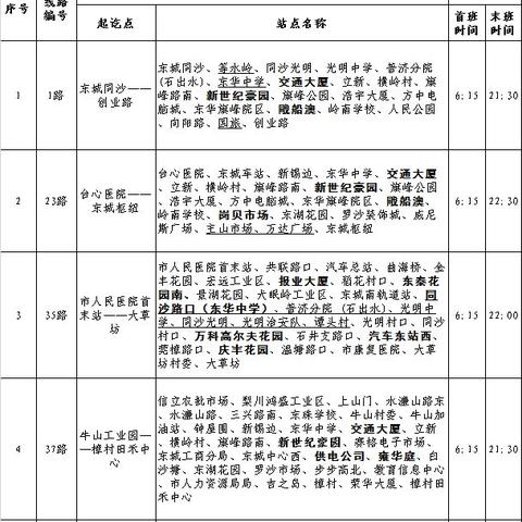 东莞巴士公司现状报告,最新动态解析