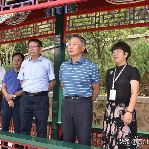 贵州贵定昌明发展最新进展