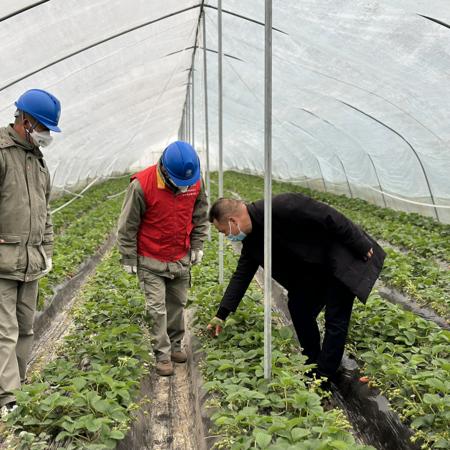 沙洋未来五年规划，蓝图展望及行动策略解读