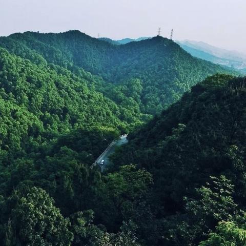 协信星麓原最新动态速递