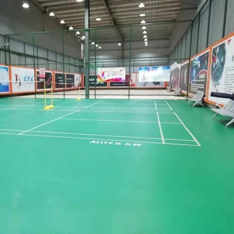 金凤凰网招聘信息全面解析