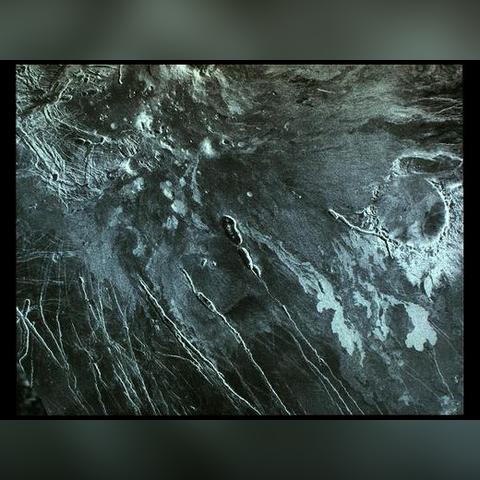 金星秀深度解析与数据洞察，探索2025最新一期内容