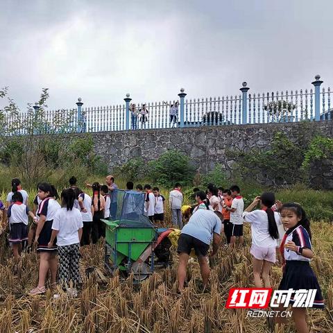 稻田建飞机场进展更新消息