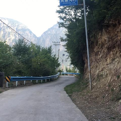 洋白菜市场价格走势分析