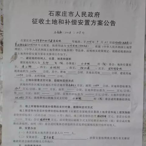 石家庄小西帐最新动态报道